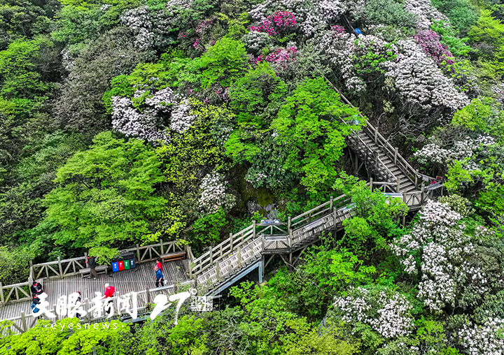 賞花觀影泡溫泉，貴州清明假期文旅消費多點開花_fororder_17438558403165