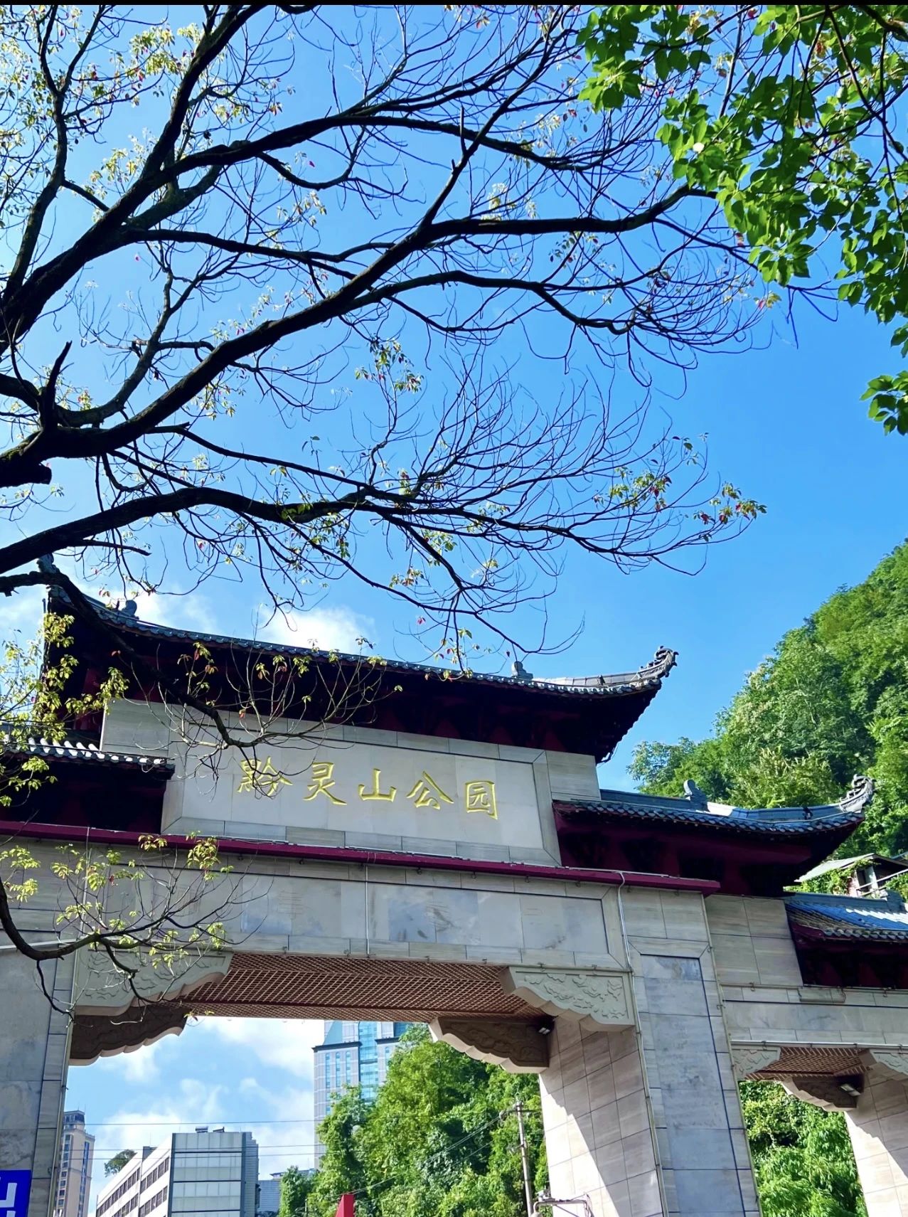 生態之城滿目新｜“兩山”理念的貴陽實踐