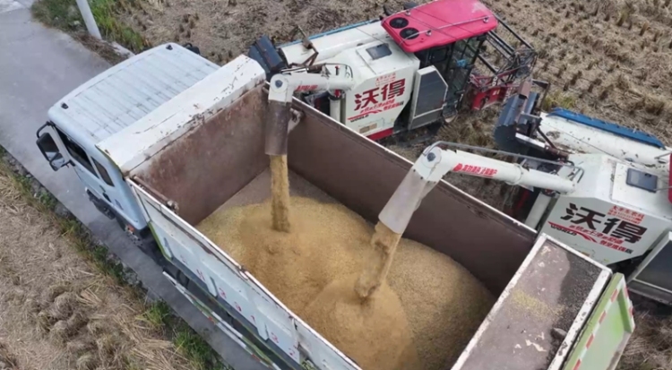 田疇沃野繪“豐”景 “農”墨重彩譜新篇——黔東南州“十四五”時期農業農村發展亮點綜述