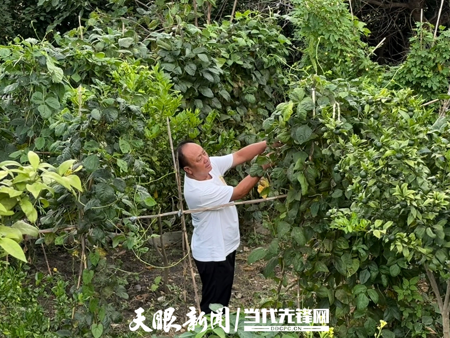 牂牁江上的生命托舉！記“全國見義勇為英雄”趙孝凡