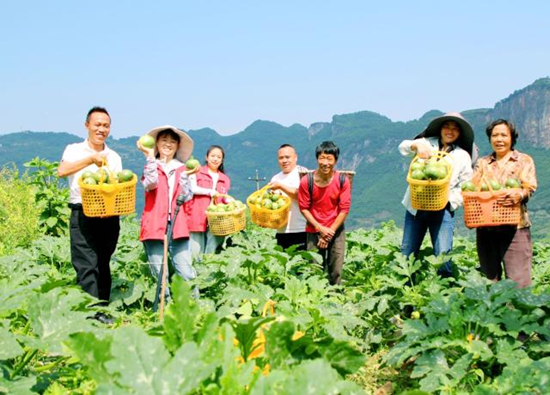 貴州清鎮首批1565斤訂單農産品采收上市_fororder_640 (1)