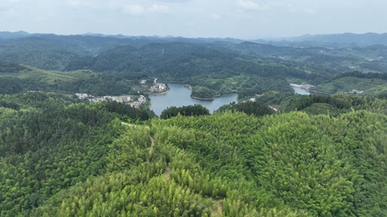 從顏值到産值 生態優勢解鎖貴州“美麗經濟”_fororder_清鎮市國有林場