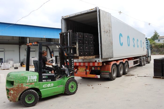 貴州修文:獼猴桃産銷兩旺 俏銷海內外市場 貴州修文:獼猴桃産銷兩旺 俏銷海內外市場_fororder_52e2b9f394e34444a64249ea790d42da_s