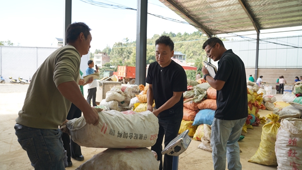 貴州鎮遠縣羊場鎮：新生産線“喚醒”深山寶藏 “鏈”就天麻産業新高地_fororder_DSC09892.JPG