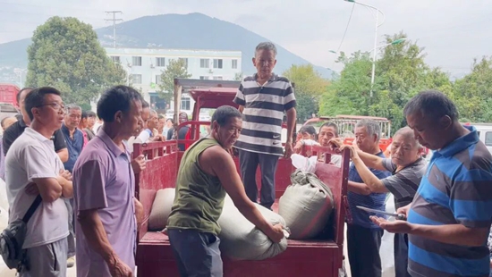 顆粒歸倉 貴州正安6萬餘畝高粱開秤收購_fororder_640