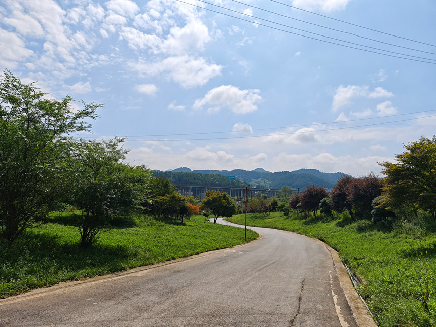 貴州仁懷：文明新風引領鄉村振興新風尚_fororder_4