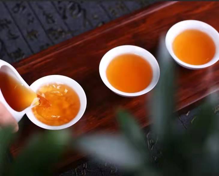 一片綠葉的“四個春天”
