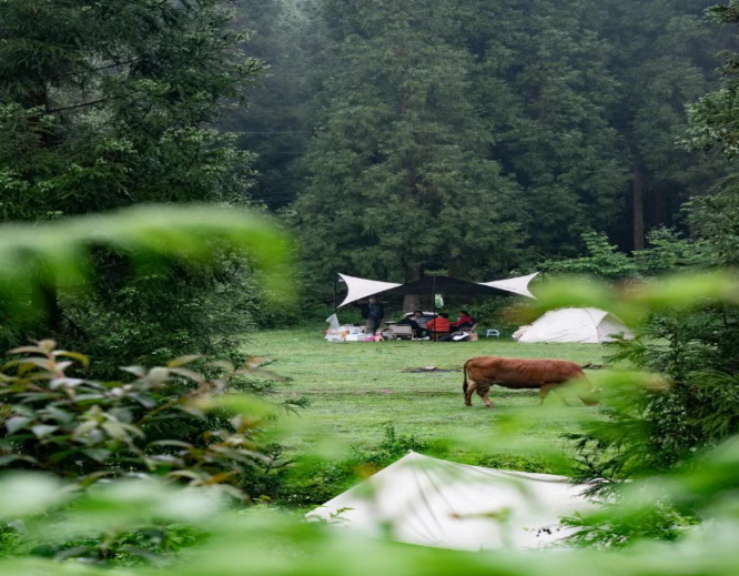 現在出發！避暑就來貴陽：【一村一景】靛山村（下）：森林美食、文化韻律、探險樂園