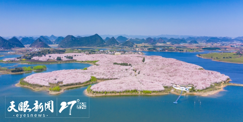 春花爛漫｜解鎖貴州旅遊新“花”樣_fororder_17428649121048