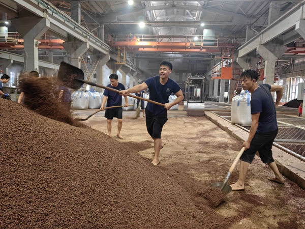 貴州仁懷：“綠智融合”助推新型工業化_fororder_酒企正在下沙生産