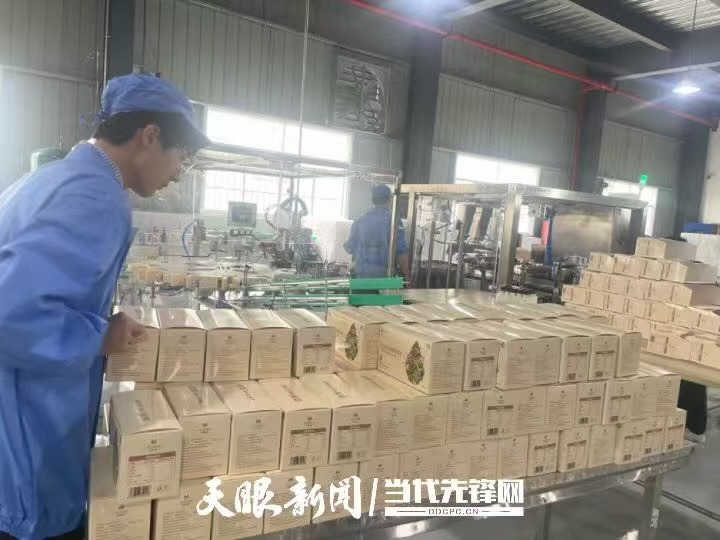 從“單一産品”到“多元矩陣”｜貴州刺梨産業鏈條延伸