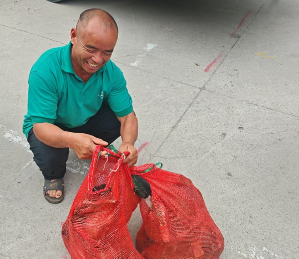 貴州省施秉縣雙井鎮：“鴨”軸轉出振興路 産業獎補惠民生_fororder_村民收到鴨子準備回家