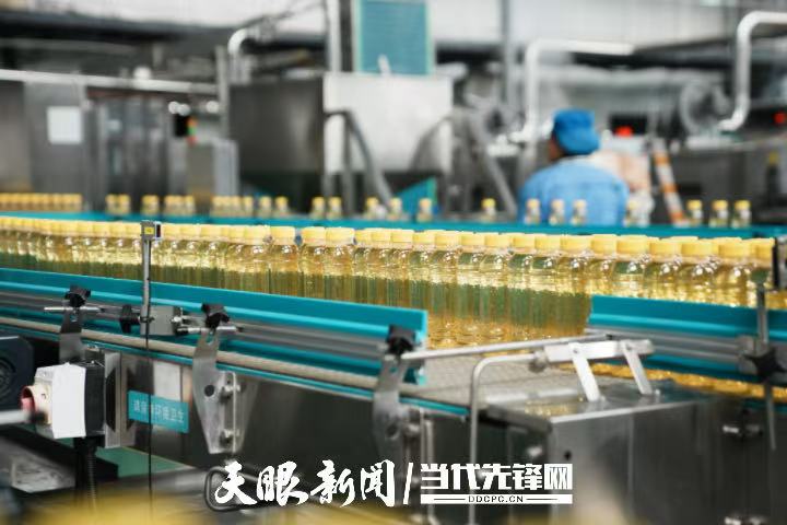 從“單一産品”到“多元矩陣”｜貴州刺梨産業鏈條延伸