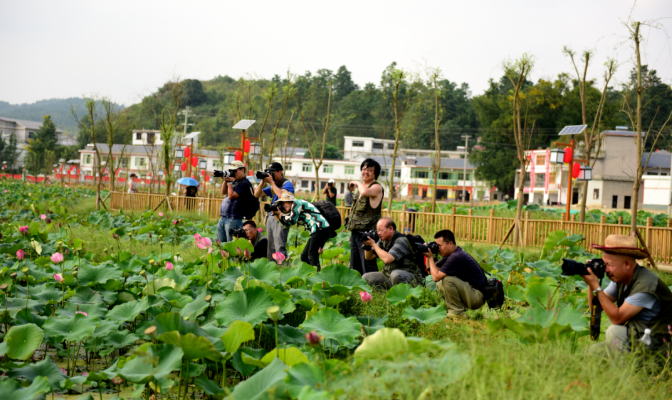 現在出發！避暑就來貴陽：一村一景：燈相約 花為媒 去蓬萊搭乘“四季列車”