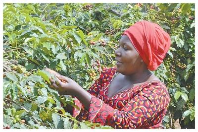 “廣闊的中國市場是我們的新機遇”（零關稅·促共贏）