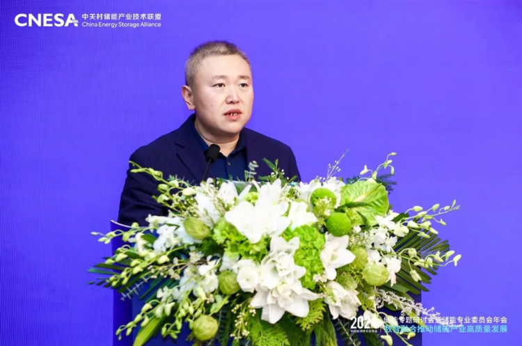 2024中國能源研究會年會儲能專題研討會在京召開