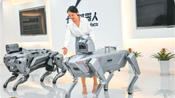 這6大未來産業，加快跑進現實（這些新提法，寫入“十五五”規劃建議④）