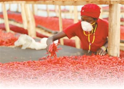 “廣闊的中國市場是我們的新機遇”（零關稅·促共贏）