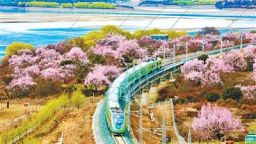 這些工程，“美得像AI”（這不是AI，這是實景·交通篇）