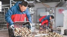 中國經濟起步有力（銳財經）