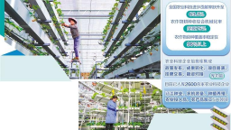 農企科技創新底氣更足