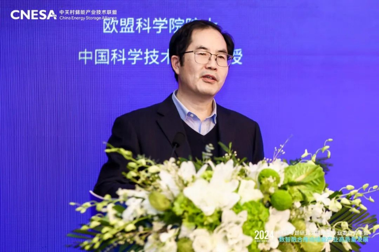 2024中國能源研究會年會儲能專題研討會在京召開