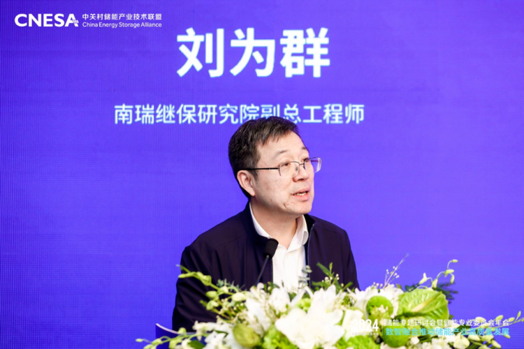 2024中國能源研究會年會儲能專題研討會在京召開