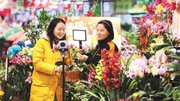 更大力度支持惠民生和提振消費