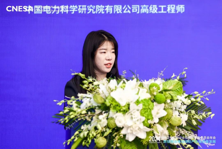 2024中國能源研究會年會儲能專題研討會在京召開