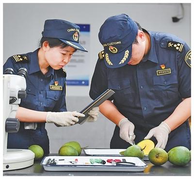 “廣闊的中國市場是我們的新機遇”（零關稅·促共贏）