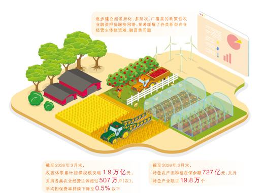 政策性農擔這樣穩糧富農（財經深一度）