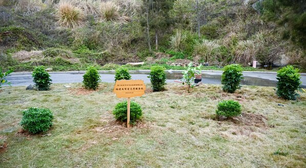 "植" 得期待——廈門太古可口可樂為廈大東山太古站"種"出活力海洋綠