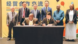 “零關稅”東風吹熱華商在非新賽道（僑界關注）