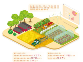 政策性農擔這樣穩糧富農（財經深一度）