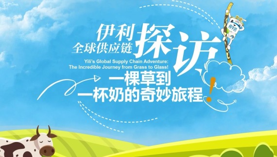 伊利全球供應鏈探訪：一棵草到一杯奶的奇妙旅程！