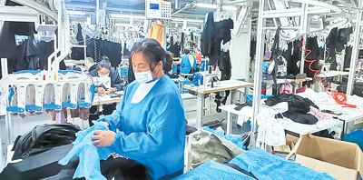 穩外貿 政策性保險來出力