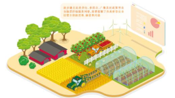 政策性農擔這樣穩糧富農（財經深一度）