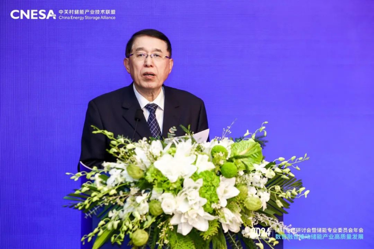 2024中國能源研究會年會儲能專題研討會在京召開