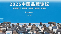 加強品牌建設  推動高品質發展