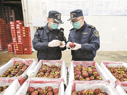 欽州港貨物加速通關