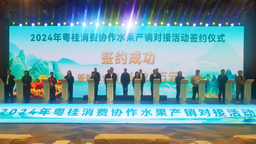 2024年粵桂消費協作水果産銷對接活動舉行 簽約金額超6000萬元