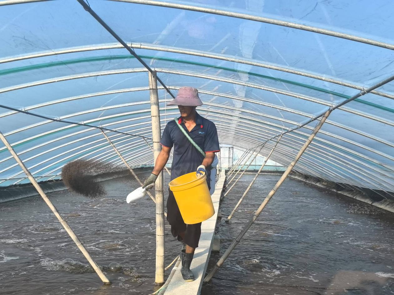 廣西北海：向海而興築牢“藍色糧倉”