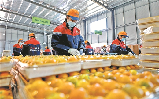 路通百業興 鄉村煥新顏