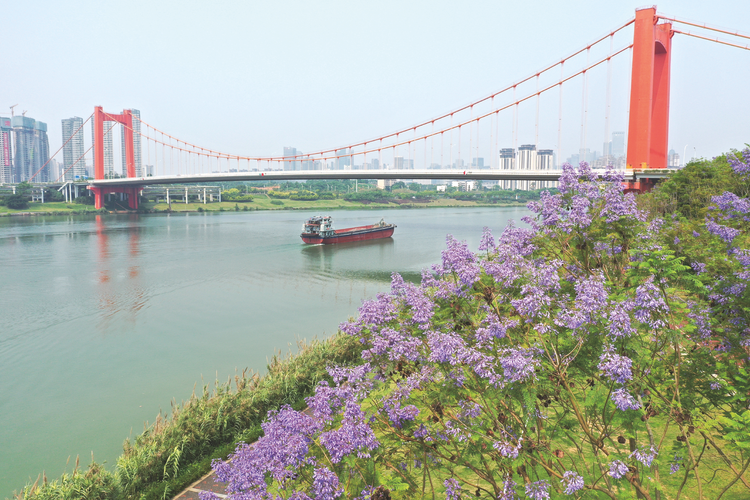 “南寧建造”持續跨越 一橋一景創“世界之最”