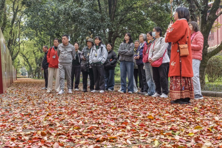 桂林:繽紛“落葉毯”引遊人醉賞_fororder_2