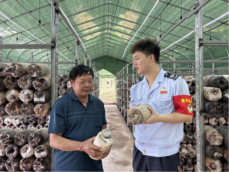 萬千氣象看廣西｜稅惠政策助推廣西農業強區建設