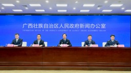 廣西個體工商戶總量達313.9萬戶
