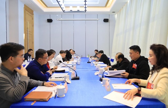 廣西政協委員分組討論討論政府工作報告（組圖）