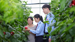 萬千氣象看廣西｜稅收數智壯八桂 繪就民族團結新風景