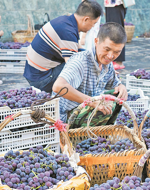 廣西開發富硒面積126萬畝 認定富硒農産品663個